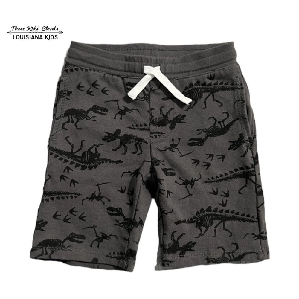 Flapdoodles 4T Grey Dinosaur Shorts